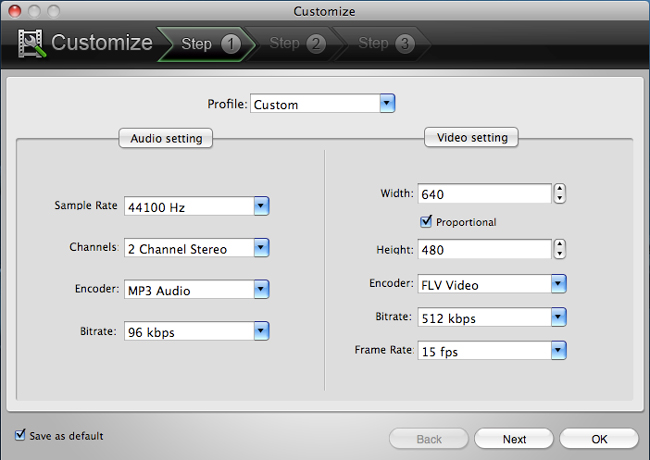 flash video audio setting