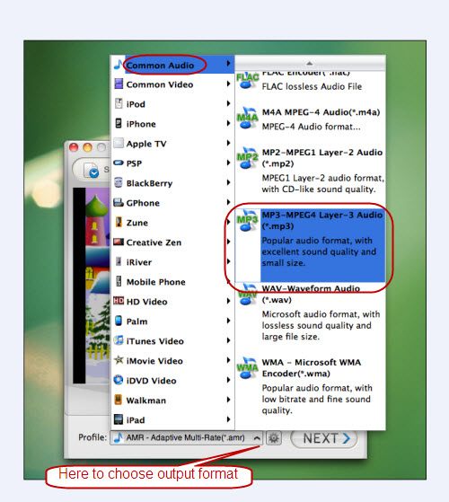 extract swf to mp3 mac